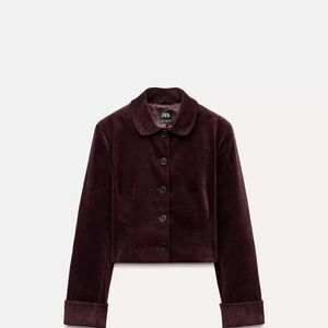 ZARA Women's Velvet Button-Front Jacket in Burgundy